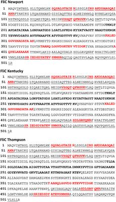 Proteolytic Surface-Shaving and Serotype-Dependent Expression of SPI-1 Invasion Proteins in Salmonella enterica Subspecies enterica